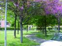 giardini.jpg