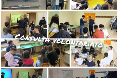 consulta-volontariato