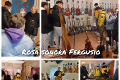 fergusio