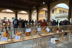 Fiera-di-Santa-Lucia-_16_