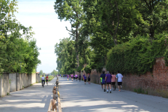 Foto-generiche-Straracconigi-14