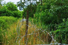 photo_2023-07-08_17-06-15