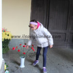 IMG_3645